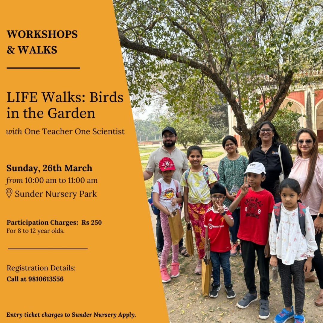 Life Walks: Birds in the Garden