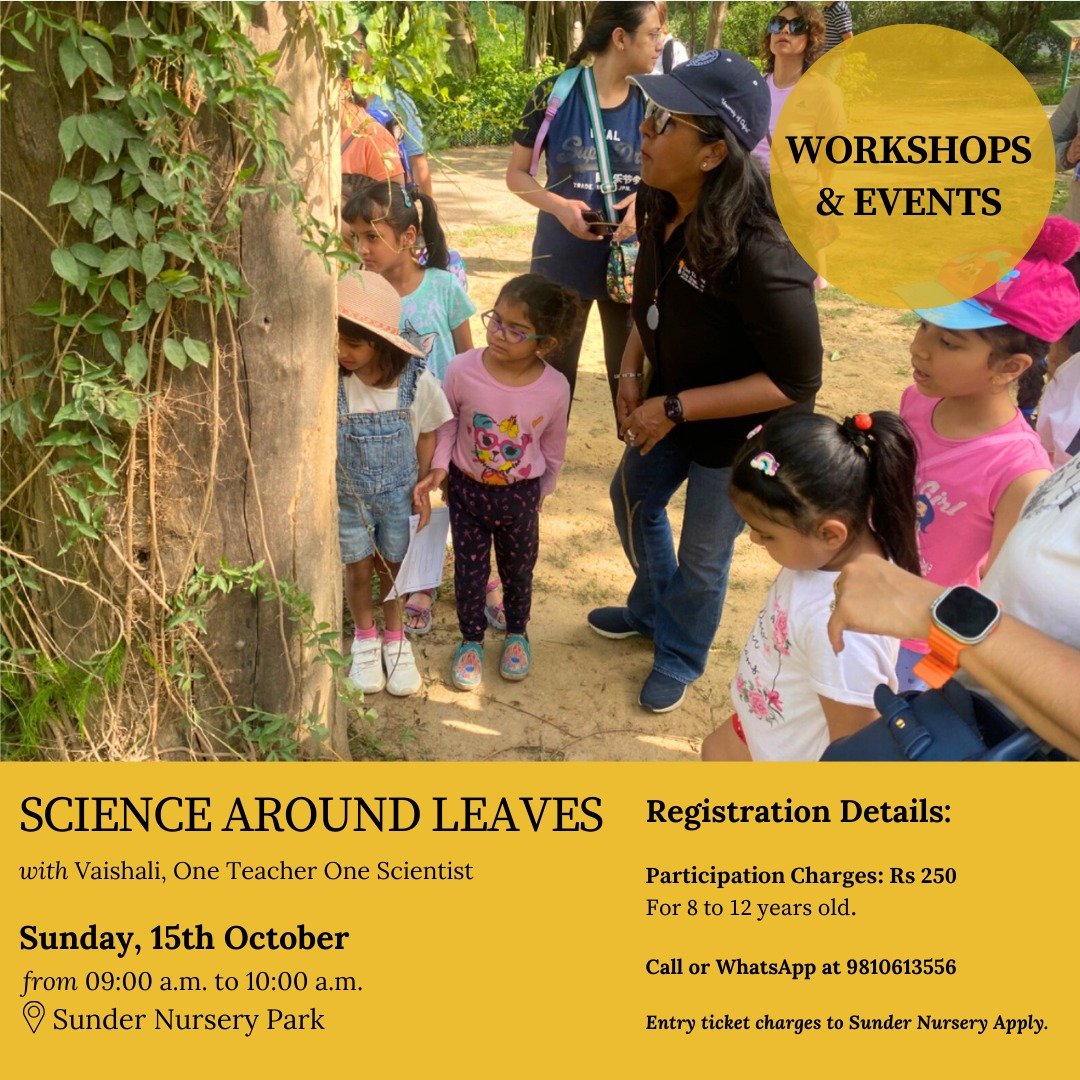 Science Around Leaves